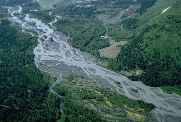 Braided River Channel
